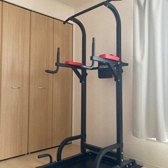 マット付 FITMATE 懸垂バー チニングマシン ぶら下がり健康器