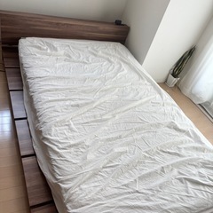 【受付終了 】【8／15まで】ローセミダブルベット　の画像