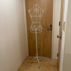 ワイヤー　トルソーの画像