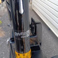 ギュットミニ　難ありの画像