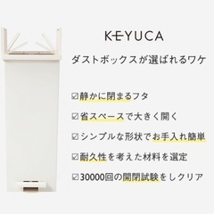 両開きダストボックス （27L） ブラック ゴミ箱 後輪キャスター付き の画像