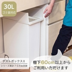 両開きダストボックス （27L） ブラック ゴミ箱 後輪キャスター付き の画像