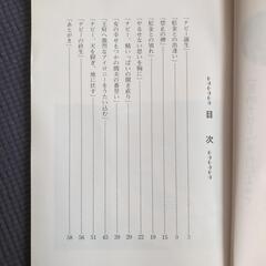 「恩納ナビー」アイロニーの世界の画像