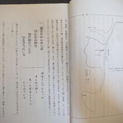 「恩納ナビー」アイロニーの世界の画像