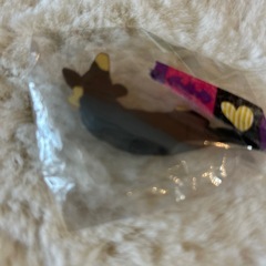チョコエッグ【ダックスフンド】の画像