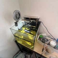 30センチキューブ水槽　その他用品