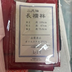 小学生用袴セットの画像