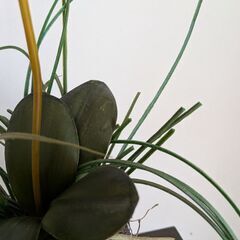 胡蝶蘭の造花の画像