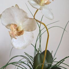 胡蝶蘭の造花の画像