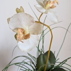 胡蝶蘭の造花