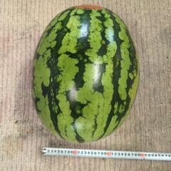 スイカ