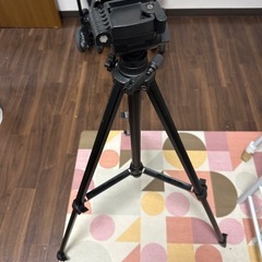 stand camera
の画像