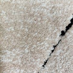 ラグマット 200×250 ホットカーペット対応 長方形の画像