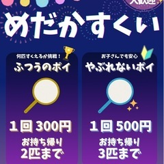 めだか、アクアリウム雑貨の画像