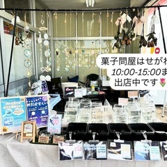 めだか、アクアリウム雑貨の画像