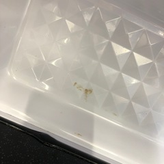 半年間保証付き【IRIS OHYAMA】電子レンジの画像