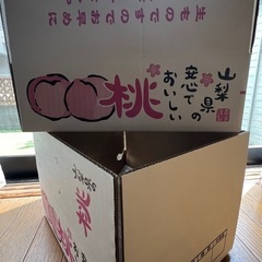 桃　山梨県産　3キロ　B級品　朝採り　硬めの画像