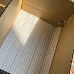 桃　山梨県産　3キロ　B級品　朝採り　硬めの画像