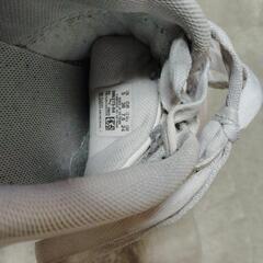 PUMA24cmスニーカー②の画像