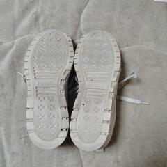 PUMA24cmスニーカー②の画像