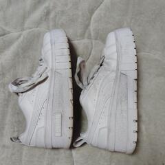 PUMA24cmスニーカー②の画像