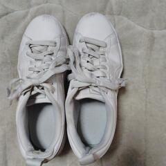 PUMA24cmスニーカー②の画像