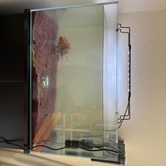 水槽、水槽台、金魚、濾過器の画像