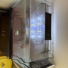 水槽、水槽台、金魚、濾過器の画像