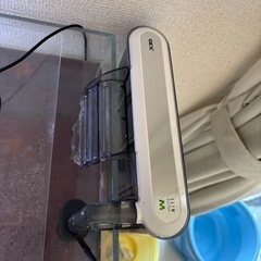 水槽、水槽台、金魚、濾過器の画像