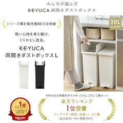 KEYULA ダストボックスLの画像