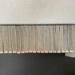 ワンパンマン 1~21巻の画像