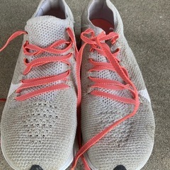 NIKEシューズグレーの画像