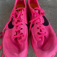 NIKEスパイクの画像