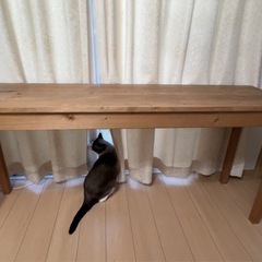 幅１７０㎝のカウンターの画像