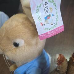 ピーターラビット　ミディアムの画像