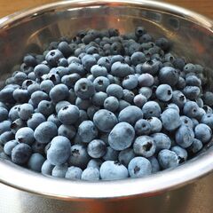★ブルーベリー★１kg