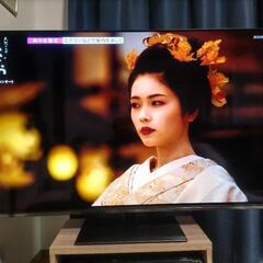 55インチ有機ELテレビ REGZA 55X8900N 24年製  超良品! の画像