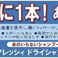 水のいらないドライシャンプー　資生堂 フレッシィ ドライシャンプー スプレータイプ 150mlの画像