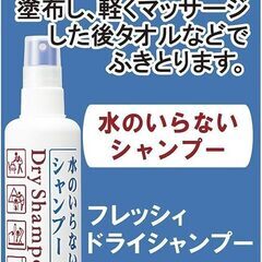 水のいらないドライシャンプー　資生堂 フレッシィ ドライシャンプー スプレータイプ 150mlの画像