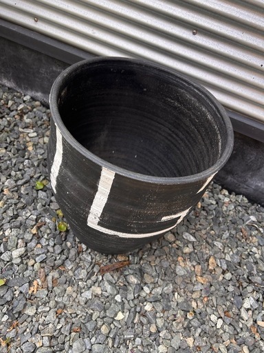 睡蓮鉢 1 メダカ 水生植物 屋外 陶器
