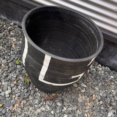 睡蓮鉢 1 メダカ 水生植物 屋外 陶器の画像