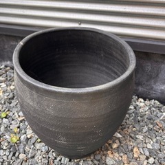 睡蓮鉢 2 メダカ 水生植物 屋外 陶器の画像