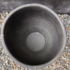 睡蓮鉢 2 メダカ 水生植物 屋外 陶器の画像