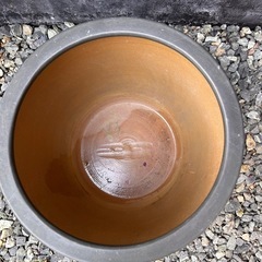 睡蓮鉢 3 メダカ 水生植物 屋外 陶器の画像