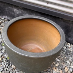 睡蓮鉢 3 メダカ 水生植物 屋外 陶器の画像