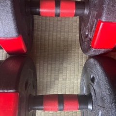 ダンベル 10kg×2の画像