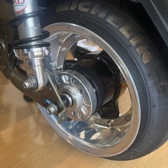 角目シャリーの画像