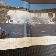 ナイアガラ・フォールズ　日本版の画像