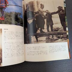 ナイアガラ・フォールズ　日本版の画像