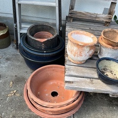 【無料】植木鉢、園芸用品、たくさんありますの画像